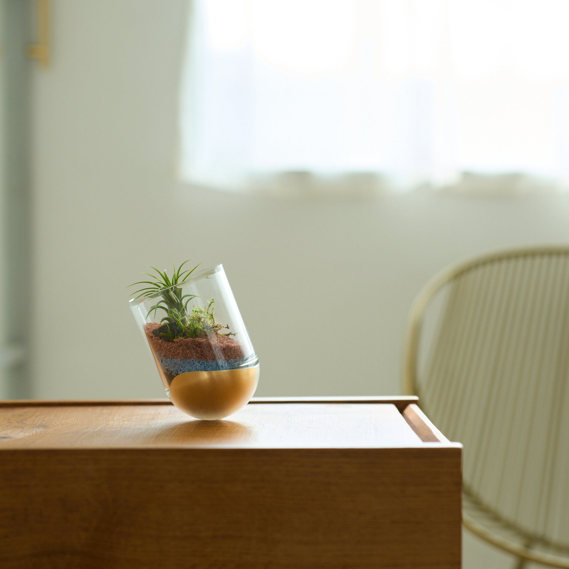 鋳鉄部分がゴールド色で樹脂は無色透明なSESEKIに観葉植物を植え、てテーブルの上に置き、花瓶として使用しているシーン画像/SESEK/SE-GG-P-03(色:ゴールド/グロス/無色)