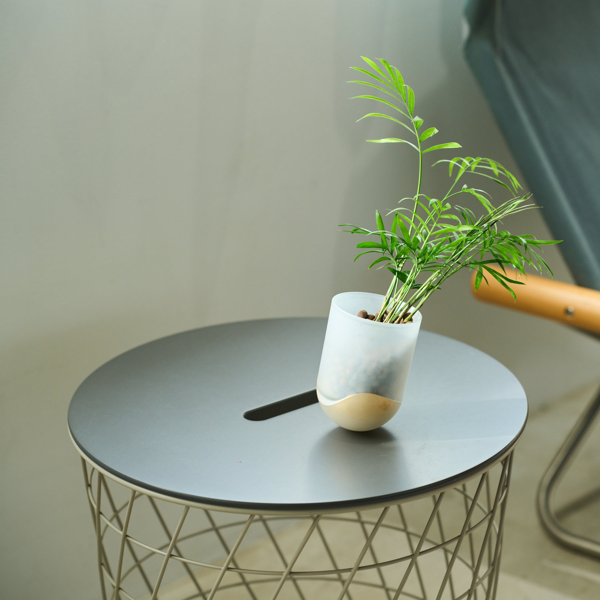 SESEKI/SE-GM-P-04(色:ゴールド/マット/無色)/鋳鉄部分が金色で艶消しのSESEKIに、テーブルの上に置き、観葉植物を植えて花瓶として使用しているシーン画像