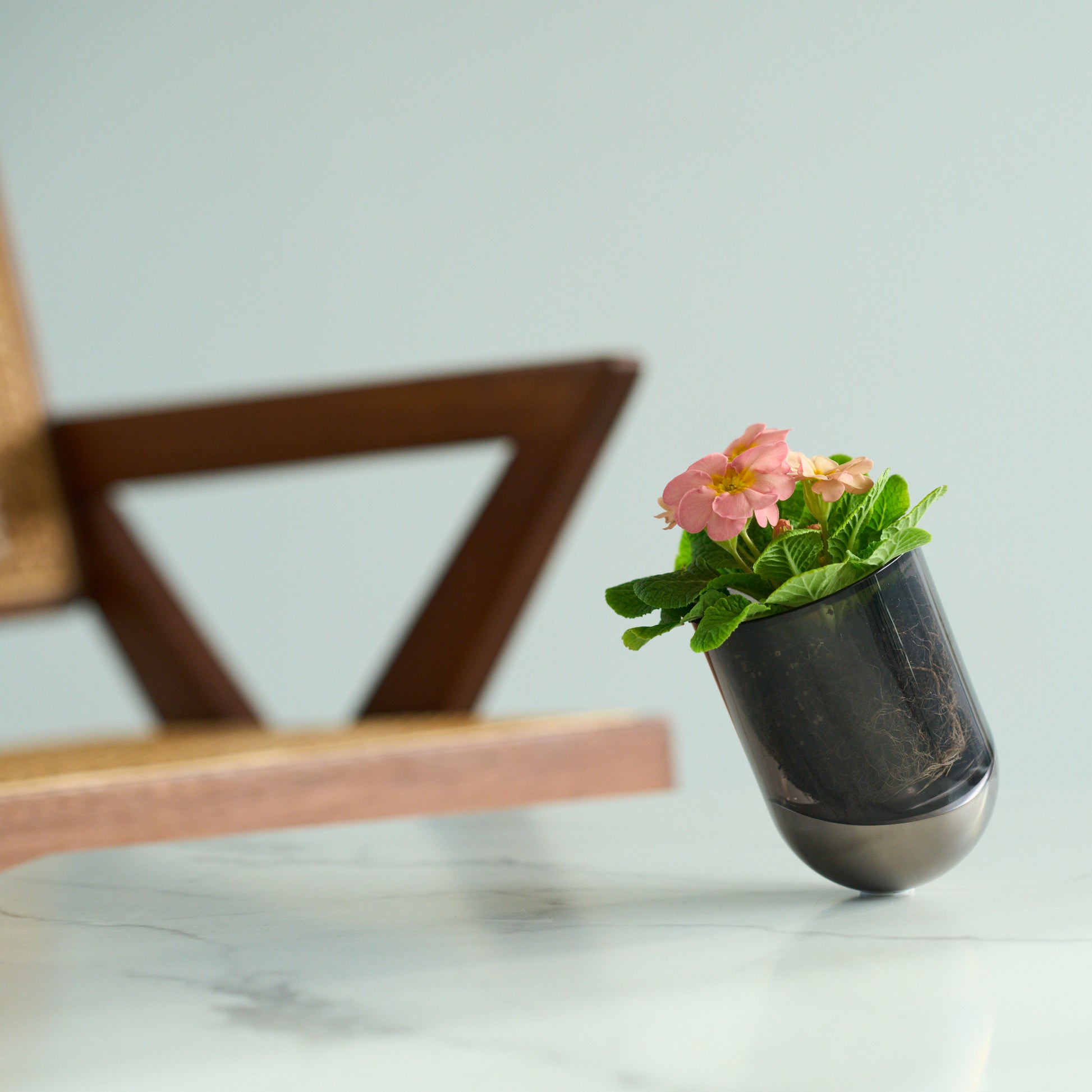 SESEKI /SE-SG-C-14(色:シルバー/グロス/黒)/透明な黒色のSESEKIに花を植えているシーン画像/SESEKIを花瓶として使用している。